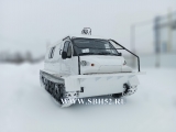 34039 Ирбис